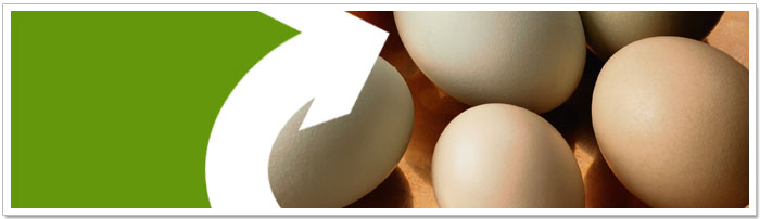 Egg shells can be re-used
