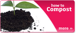 image on composting